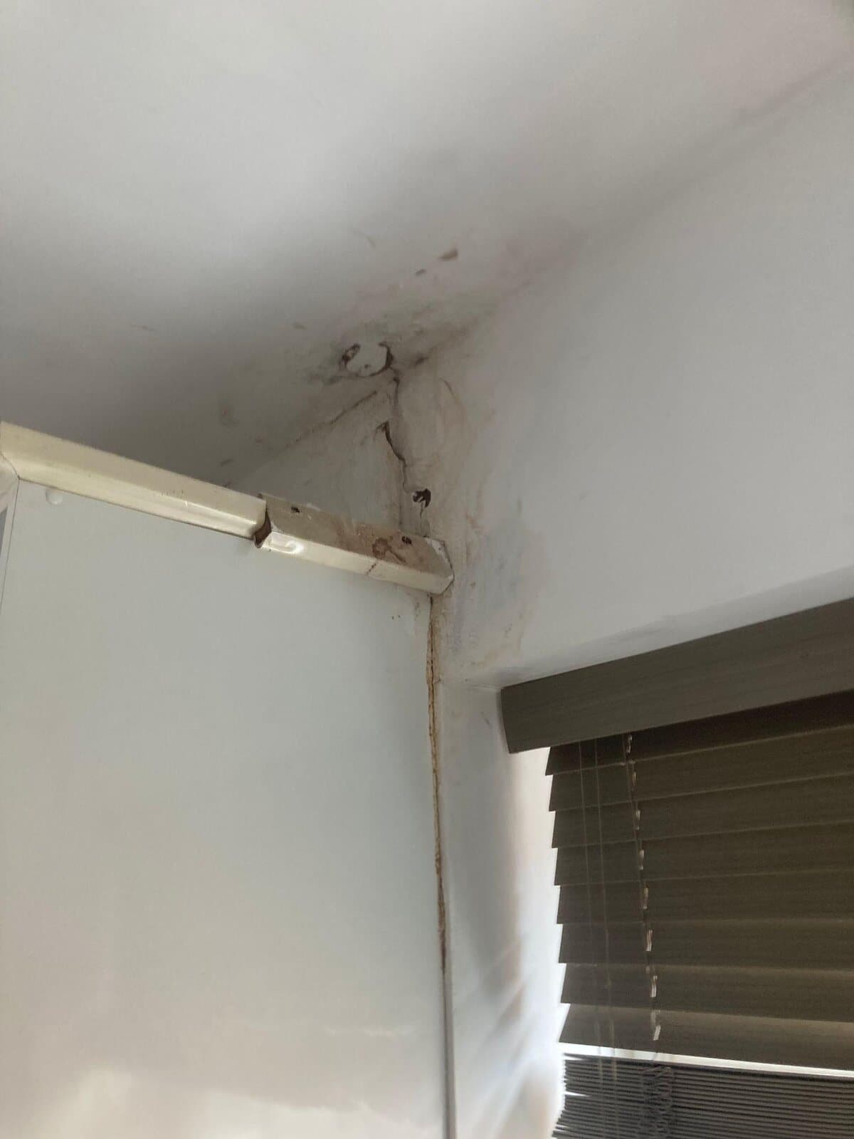 Before: dark damp staining in a ceiling corner above a window blind