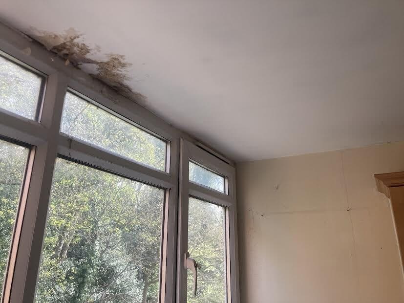 Before: brown water marks on the ceiling above a bay window